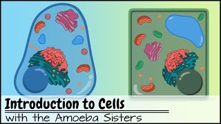 Introduction to Cells The Grand Cell Tour [upl. by Aniles38]