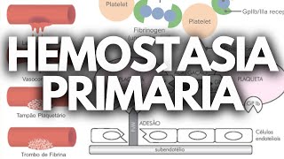 HEMOSTASIA PRIMÁRIA HEMATOLOGIA [upl. by Dirfliw]