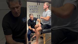 Patella Tendon Reflex  Demonstration physicaltherapy [upl. by Leoine]