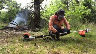 Stihl KM 131 R  Brushcutter Vs Pole Prunner  Part 1 [upl. by Igal]