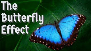 The Butterfly Effect 2020  What Is The Butterfly Effect Theory [upl. by Natalia803]