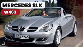 All You Need To Know About the 2004 Mercedes Benz SLK [upl. by Araas832]