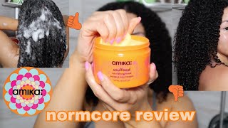 Testing Out Amika Normcore Products On 3c4a THICK Curly Hair  Is It Worth It [upl. by Eenerb]