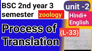 Bsc 2nd year 3semster zoology topic Process of translation [upl. by Roseanna]