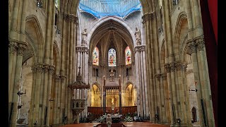 BASÍLICA DE SAN VICENTE FERRER VALENCIA COCINITAS Y MAS [upl. by Heman]