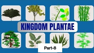 Class 11 Chapter3 Plant Kingdom Part8  Padhaku trending viral viralvideo [upl. by Aerdnna]