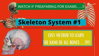 SKELETAL SYSTEM ANATOMY AND PHYSIOLOGY [upl. by Zildjian]