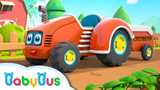 Tractorașele Colorate  Cântece educative cu mașini pentru Copii de la BabyBus [upl. by Franni]