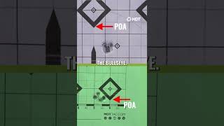 Accuracy VS Precision [upl. by Ahsienal]