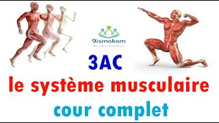 le système musculaire 3ème année collège complet [upl. by Curran]