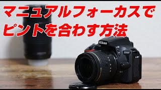 Nikon D5600 マニュアルフォーカスでピントを合わす方法 [upl. by Ahsiele]