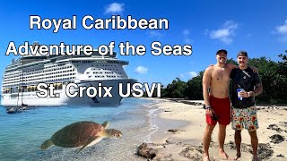 Adventure of the Seas  Snorkeling with Sea Turtles in St Croix USVI [upl. by Melodee]