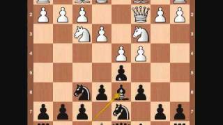 Chess Openings  Semi Slav [upl. by Refiffej]