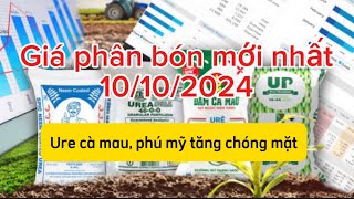 Giá phân ure cà mau ure phú mỹ tăng chóng mặt diễn biến phân bón đến 112024 [upl. by Belac]