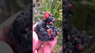 Red zircon crystal crystals minerals trendingnow viralvideo short shorts ziecon shortvideos [upl. by Tarsuss476]