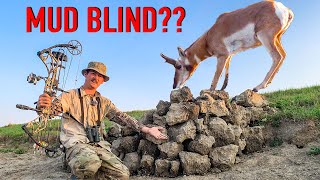 HUNTING PRONGHORN from a MUD BLIND [upl. by Campman]