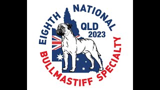 8th National Bullmastiff Specialty Show [upl. by Koby596]