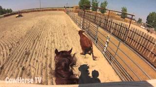 Jake Telford GoPro Cam on a Cow Horse [upl. by Affay256]