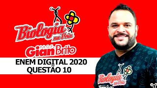 ÁCIDOS NUCLEICOS NA PROVA ENEM DIGITAL 2020  QUESTÃO 10 [upl. by Scopp343]