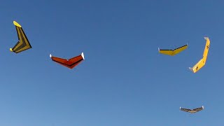 RC slope soaring flying wing combat [upl. by Lizabeth962]