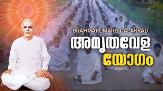 27062024 Amruthvela Yogam  Brahma Kumaris Satsang  Shivajyothibhavan Palakkad  BK Keralam [upl. by Haddad315]