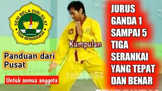 Kumpulan Jurus Ganda Sbds TS Mulai dari Ganda 1 Sampai 5  Tiga Serangkai [upl. by Nalo]