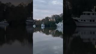 Day on the TennesseTombigbee waterway greatloop trawler yacht [upl. by Mohl]