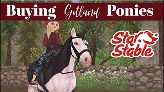 Buying Gotland Ponies amp Changing My Mind 50 Times Star Stable [upl. by Hcurob165]