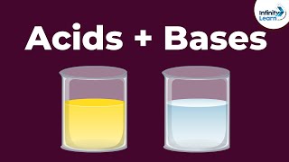 Acids and Bases  Reaction with each other  Dont Memorise [upl. by Foushee]