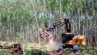 Feller Buncher no Corte da Área da Expoforest 2018 [upl. by Kowalski]