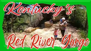 Red River Gorge Sky Bridge  Sheltowee Trace Bridge  Chimney Top  Nada Tunnel [upl. by Yantruoc589]