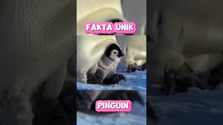 Fakta Unik Burung Pinguin shorts shortvideo animals [upl. by Odnala608]