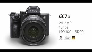 Sony A7iii Image Quality amp Handling [upl. by Ahsekahs750]