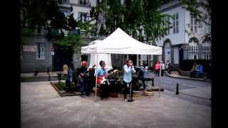 les Blues SALOPARDS  Fête de la musique  AURILLAC  2013  Shes stuff [upl. by Calandria718]