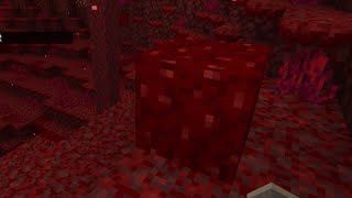 What is in the nether wart block [upl. by Eidnac]