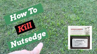 Nutsedge Killer  SedgeHammer  Herbicide Weed Control [upl. by Aicemaj269]