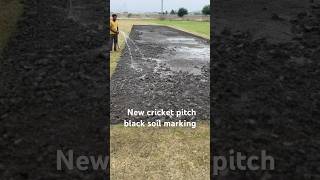 How to make cricket pitch marking turf black soil cricket pitch marking viralvideo shorts short [upl. by Fleur685]