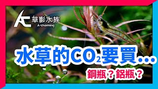 水草缸新手，怎麼買，怎麼裝最省錢？｜AC草影水族 [upl. by Nyret685]