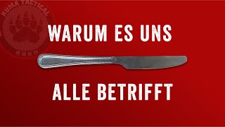 Der neue Waffengesetz Entwurf in 10 Minuten Alles was du wissen musst [upl. by Mancino]