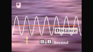 Oscillation and Wave Speed  Exploring Wave Motion 25 [upl. by Hsreh451]