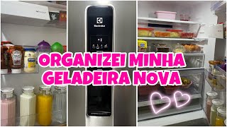 ORGANIZANDO MINHA GELADEIRA NOVA [upl. by Ahsela]