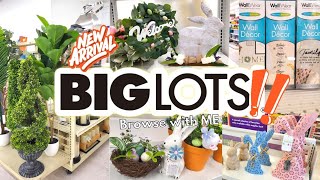 BIG LOTS 2024 ● New Finds ● Shop with me [upl. by Ecirted422]