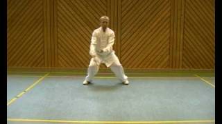 Taijiquan Yang 13 [upl. by Bannerman549]