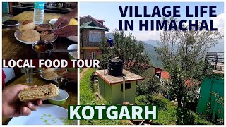 Kotgarh  Himachal Local Village Tour amp Food  Village Life in Himachal [upl. by Dyoll]