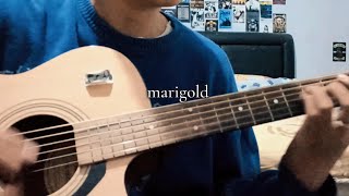 marigold  nirvana guitar cover [upl. by Edy]