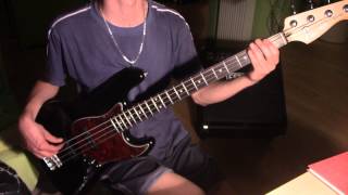 SARS Perspektiva BASS COVER [upl. by Amoihc]