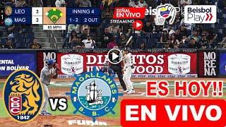 Leones del Caracas vs Navegantes del Magallanes en vivo donde ver Leones vs Magallanes LVBP 2024 [upl. by Rubbico776]