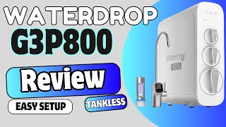 Easy Setup  Waterdrop G3P800 Tankless RO Filter [upl. by Enairda]