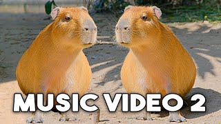 The Capybara Song 2nd Official Music Video 🎶🎶 [upl. by Airdnna696]