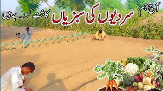 Sardiyon Ki Sabzi 🥕🍆 Kash  Tubwell Pey Sabzi Laga di  Beautiful Village Life Scene villagelife [upl. by Joappa]